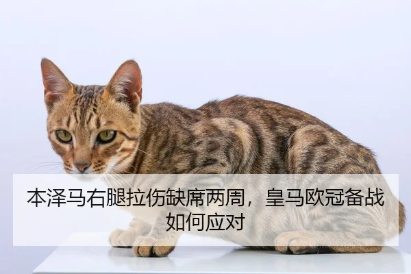 ben-ze-ma-you-tui-la-shang-que-xi-liang-zhou-huang-ma-ou-guan-bei-zhan-ru-he-ying-dui-2-347.jpg